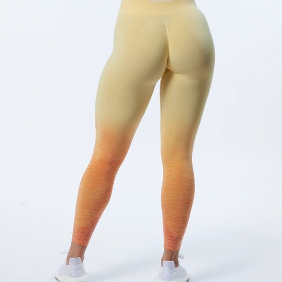 Alphalete - Ombré Amplify Legging - Honey - Picture 5 of 11